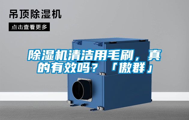 除濕機清潔用毛刷，真的有效嗎？「傲群」