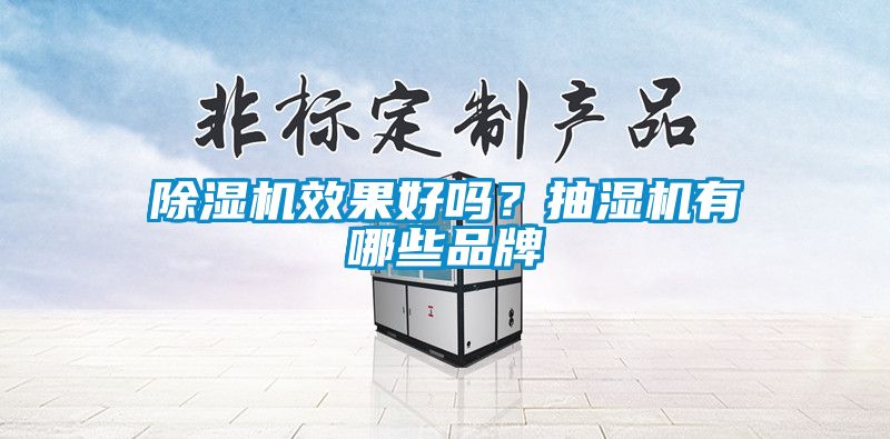 除濕機效果好嗎？抽濕機有哪些品牌