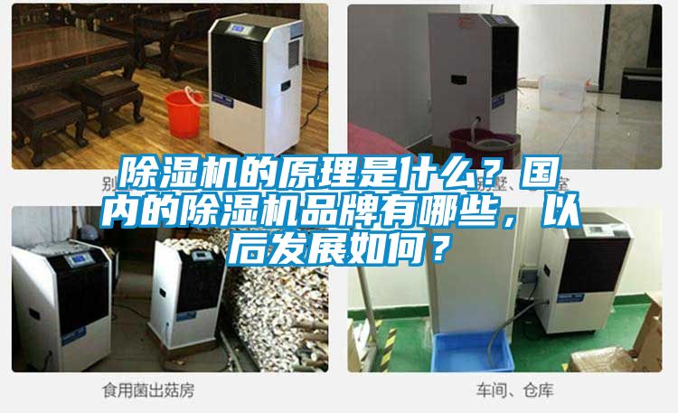 除濕機的原理是什么？國內的除濕機品牌有哪些，以后發展如何？