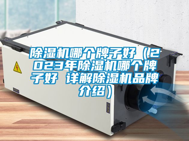 除濕機哪個牌子好（2023年除濕機哪個牌子好 詳解除濕機品牌介紹）