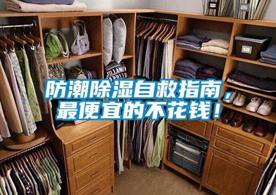 防潮除濕自救指南，最便宜的不花錢！