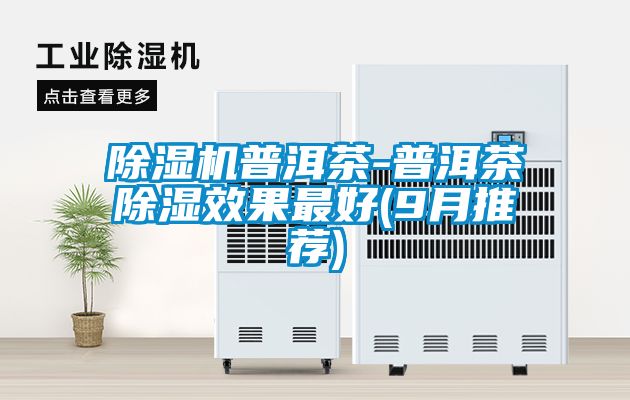 除濕機(jī)普洱茶-普洱茶除濕效果最好(9月推薦)