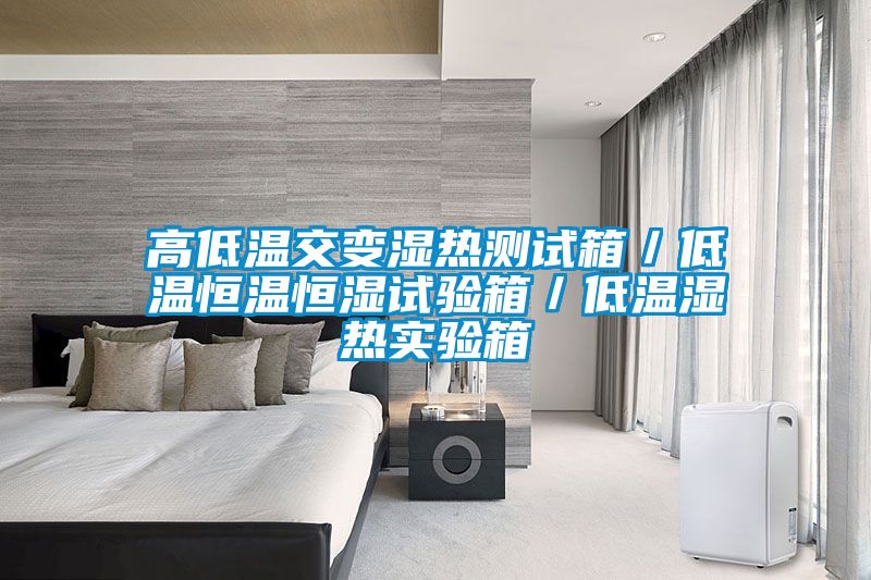 高低溫交變濕熱測試箱／低溫恒溫恒濕試驗箱／低溫濕熱實驗箱