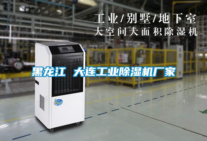 黑龍江 大連工業(yè)除濕機廠家