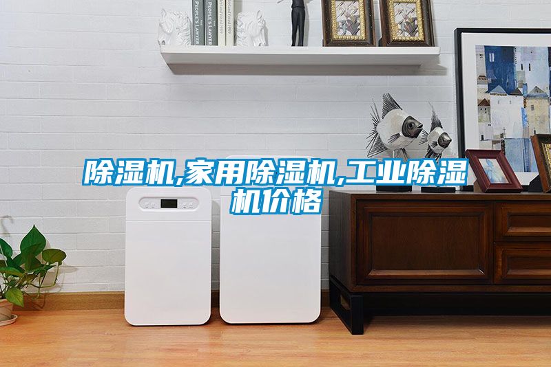 除濕機,家用除濕機,工業除濕機價格