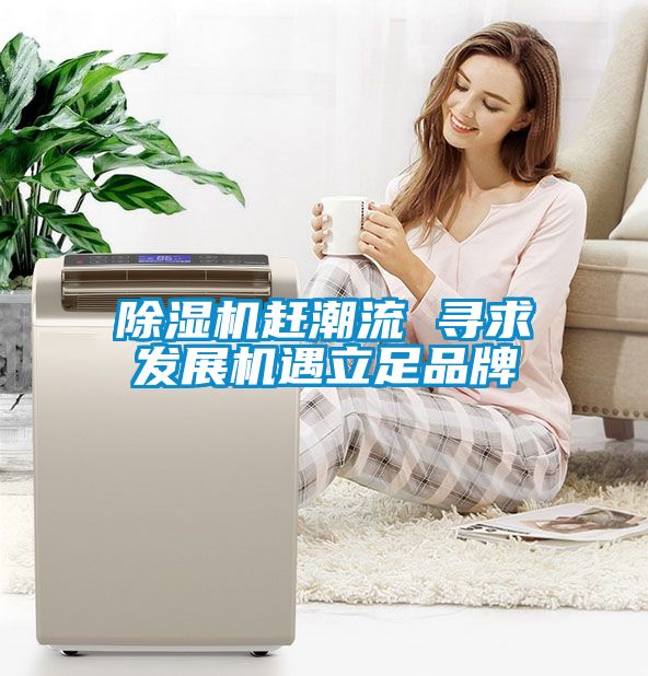 除濕機(jī)趕潮流 尋求發(fā)展機(jī)遇立足品牌