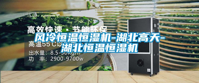 風冷恒溫恒濕機-湖北高天-湖北恒溫恒濕機