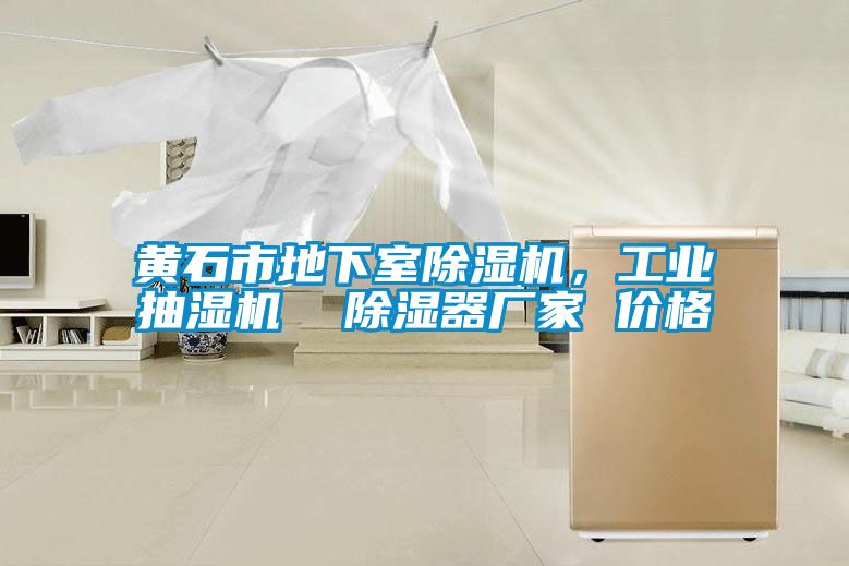 黃石市地下室除濕機，工業抽濕機  除濕器廠家 價格