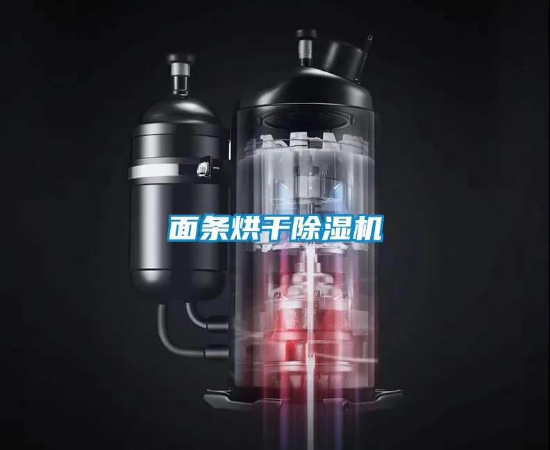 面條烘干除濕機(jī)