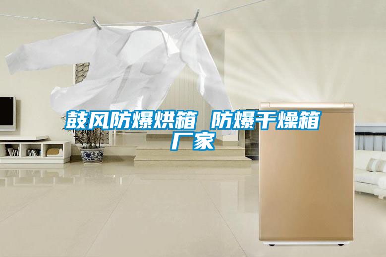 鼓風(fēng)防爆烘箱 防爆干燥箱廠家