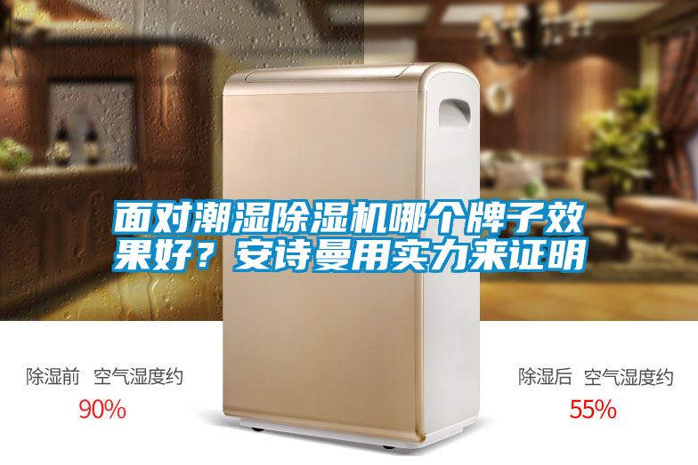 面對(duì)潮濕除濕機(jī)哪個(gè)牌子效果好？安詩(shī)曼用實(shí)力來(lái)證明