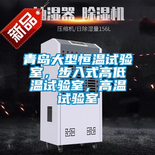 青島大型恒溫試驗室，步入式高低溫試驗室，高溫試驗室