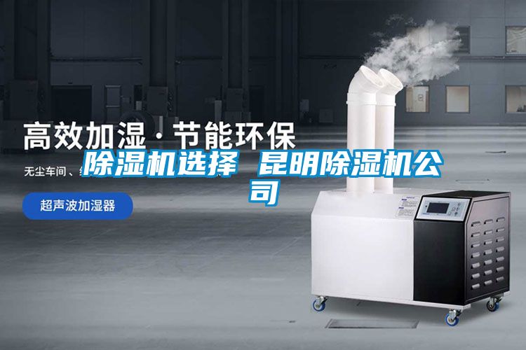 除濕機(jī)選擇 昆明除濕機(jī)公司