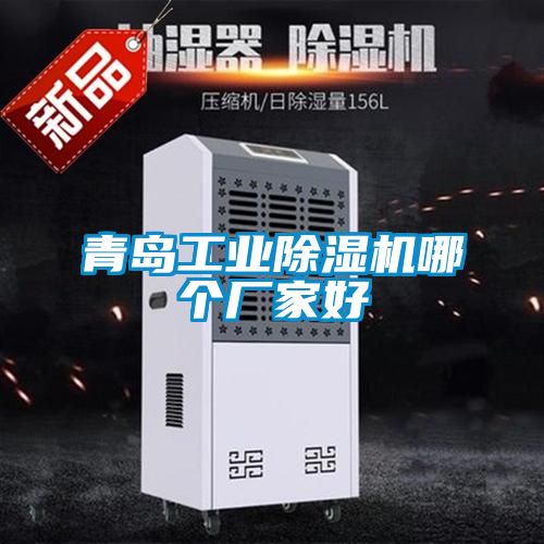 青島工業(yè)除濕機(jī)哪個(gè)廠家好