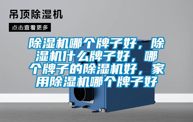 除濕機(jī)哪個(gè)牌子好，除濕機(jī)什么牌子好，哪個(gè)牌子的除濕機(jī)好，家用除濕機(jī)哪個(gè)牌子好