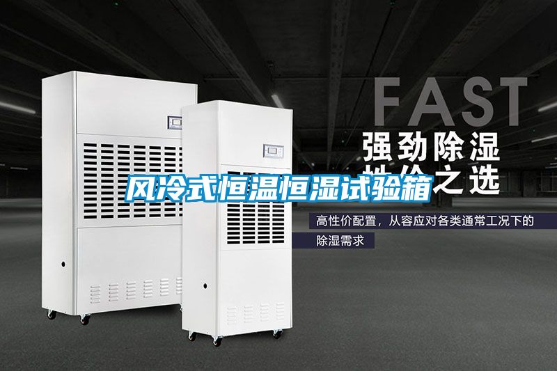風(fēng)冷式恒溫恒濕試驗(yàn)箱