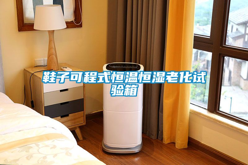 鞋子可程式恒溫恒濕老化試驗(yàn)箱