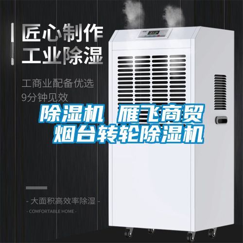 除濕機 雁飛商貿(mào) 煙臺轉(zhuǎn)輪除濕機