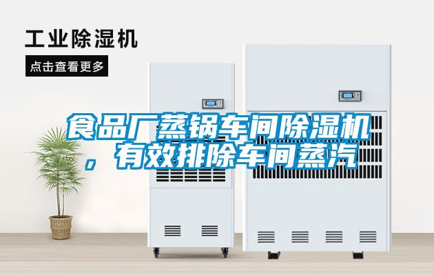 食品廠蒸鍋車間除濕機，有效排除車間蒸汽