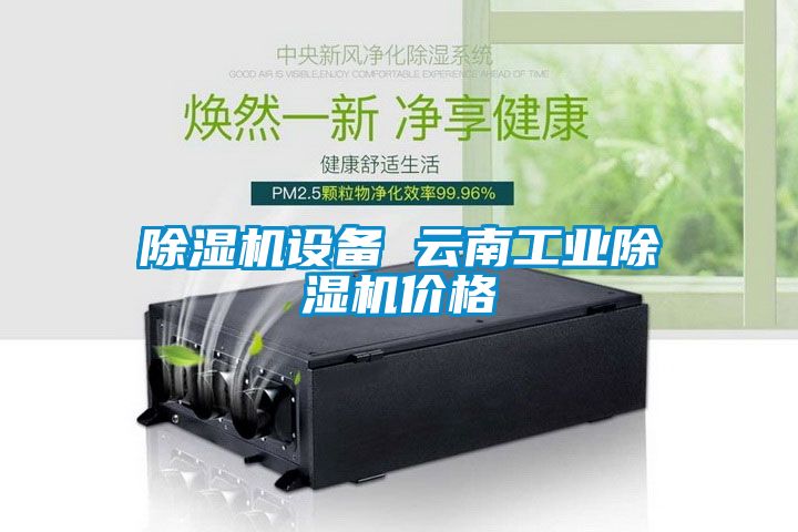 除濕機(jī)設(shè)備 云南工業(yè)除濕機(jī)價格