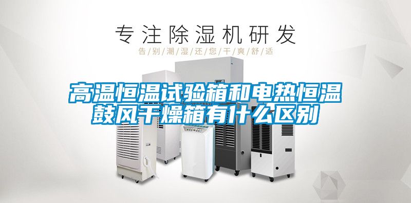 高溫恒溫試驗(yàn)箱和電熱恒溫鼓風(fēng)干燥箱有什么區(qū)別