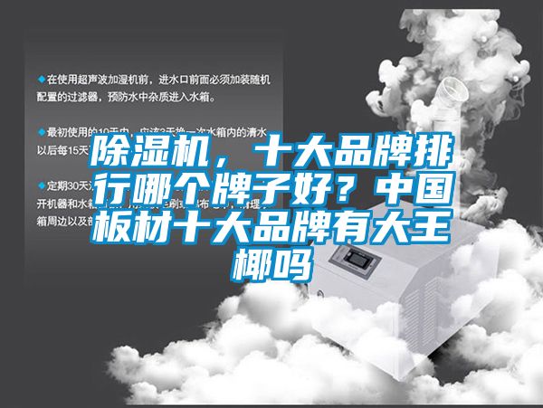 除濕機，十大品牌排行哪個牌子好？中國板材十大品牌有大王椰嗎