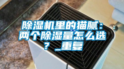 除濕機里的貓膩：兩個除濕量怎么選？_重復