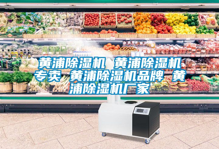 黃浦除濕機(jī) 黃浦除濕機(jī)專賣 黃浦除濕機(jī)品牌 黃浦除濕機(jī)廠家