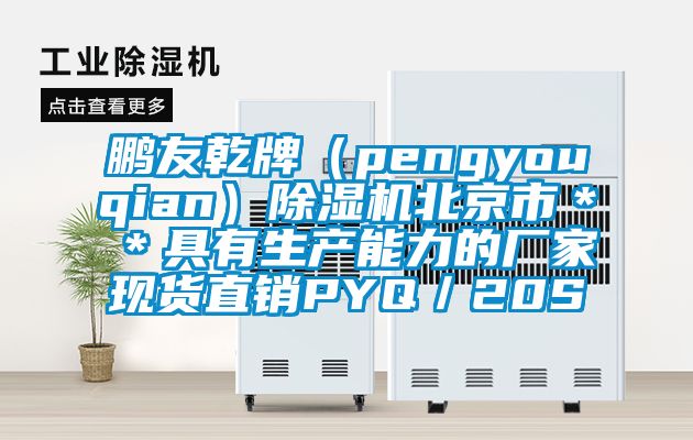 鵬友乾牌（pengyouqian）除濕機北京市＊＊具有生產能力的廠家現貨直銷PYQ／20S