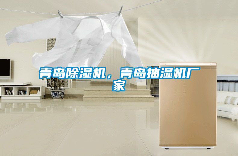 青島除濕機，青島抽濕機廠家