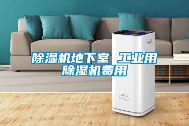 除濕機(jī)地下室 工業(yè)用除濕機(jī)費(fèi)用