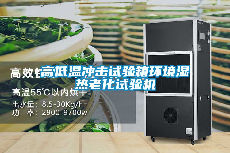 高低溫沖擊試驗(yàn)箱環(huán)境濕熱老化試驗(yàn)機(jī)