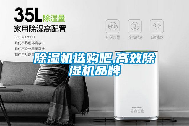除濕機(jī)選購吧,高效除濕機(jī)品牌
