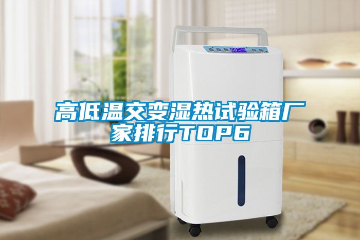 高低溫交變濕熱試驗箱廠家排行TOP6