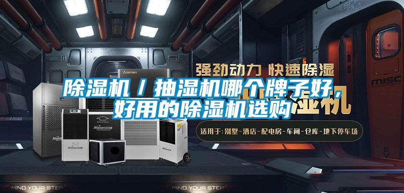 除濕機(jī)／抽濕機(jī)哪個(gè)牌子好，好用的除濕機(jī)選購
