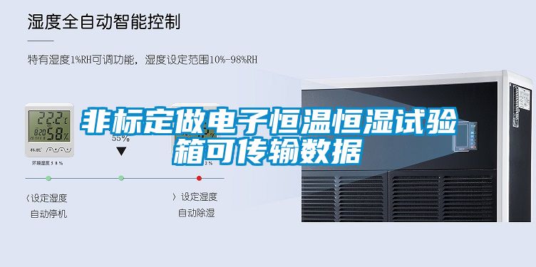 非標(biāo)定做電子恒溫恒濕試驗(yàn)箱可傳輸數(shù)據(jù)