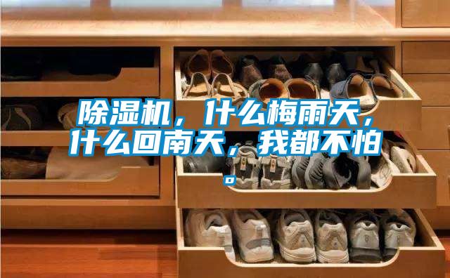 除濕機(jī)，什么梅雨天，什么回南天，我都不怕。