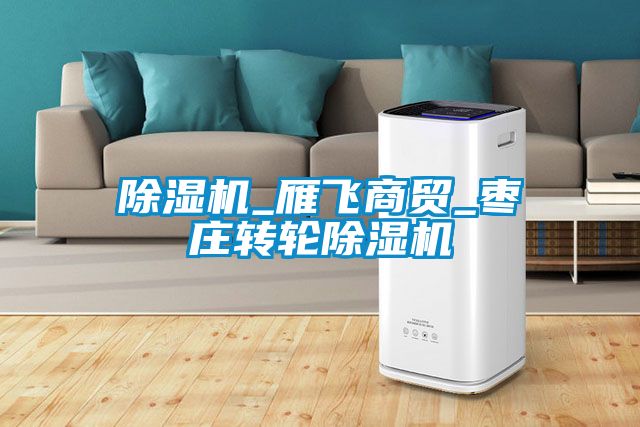 除濕機(jī)_雁飛商貿(mào)_棗莊轉(zhuǎn)輪除濕機(jī)