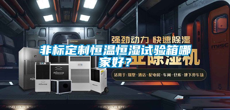 非標定制恒溫恒濕試驗箱哪家好？