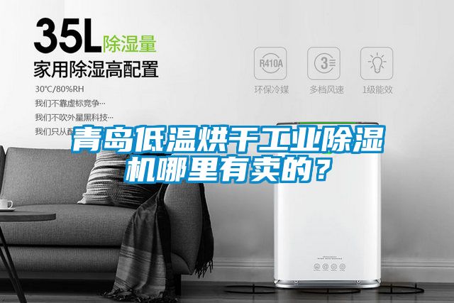 青島低溫烘干工業(yè)除濕機(jī)哪里有賣的？