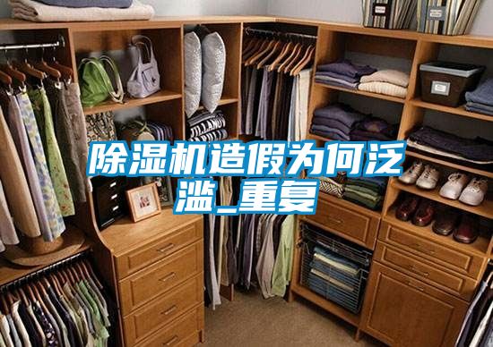 除濕機(jī)造假為何泛濫_重復(fù)