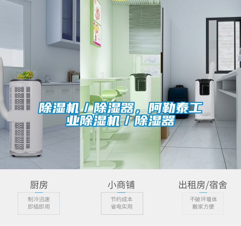 除濕機(jī)／除濕器，阿勒泰工業(yè)除濕機(jī)／除濕器