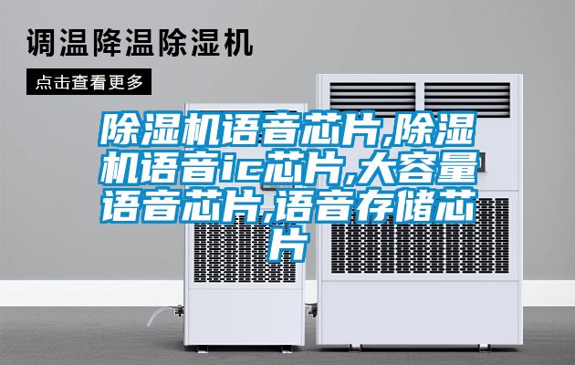 除濕機(jī)語音芯片,除濕機(jī)語音ic芯片,大容量語音芯片,語音存儲芯片