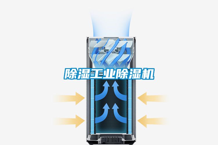 除濕工業(yè)除濕機(jī)