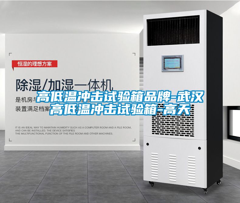 高低溫沖擊試驗(yàn)箱品牌-武漢高低溫沖擊試驗(yàn)箱-高天