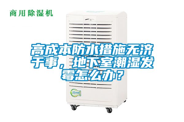 高成本防水措施無(wú)濟(jì)于事，地下室潮濕發(fā)霉怎么辦？