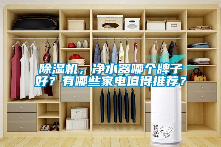 除濕機(jī)，凈水器哪個(gè)牌子好？有哪些家電值得推薦？