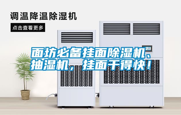 面坊必備掛面除濕機、抽濕機，掛面干得快！