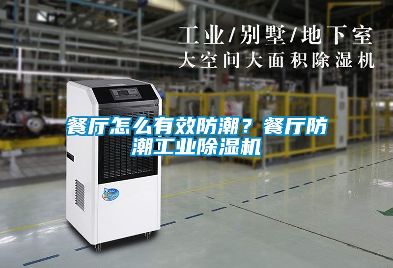 餐廳怎么有效防潮？餐廳防潮工業除濕機
