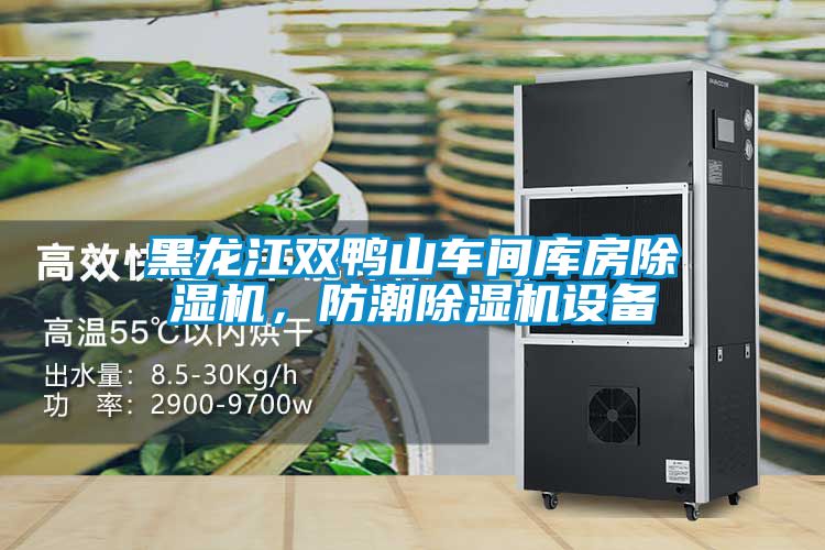 黑龍江雙鴨山車間庫房除濕機，防潮除濕機設備